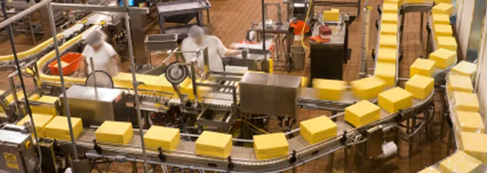 Food & beverage plant